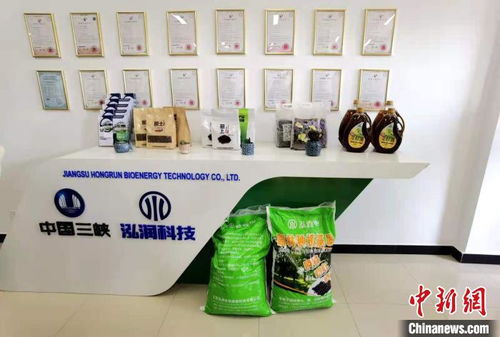 科技赋能长江生态修复 岸上绿意盎然，水中碧波重现