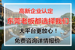 东莞高新认定 科技中介服务助力企业高质量发展